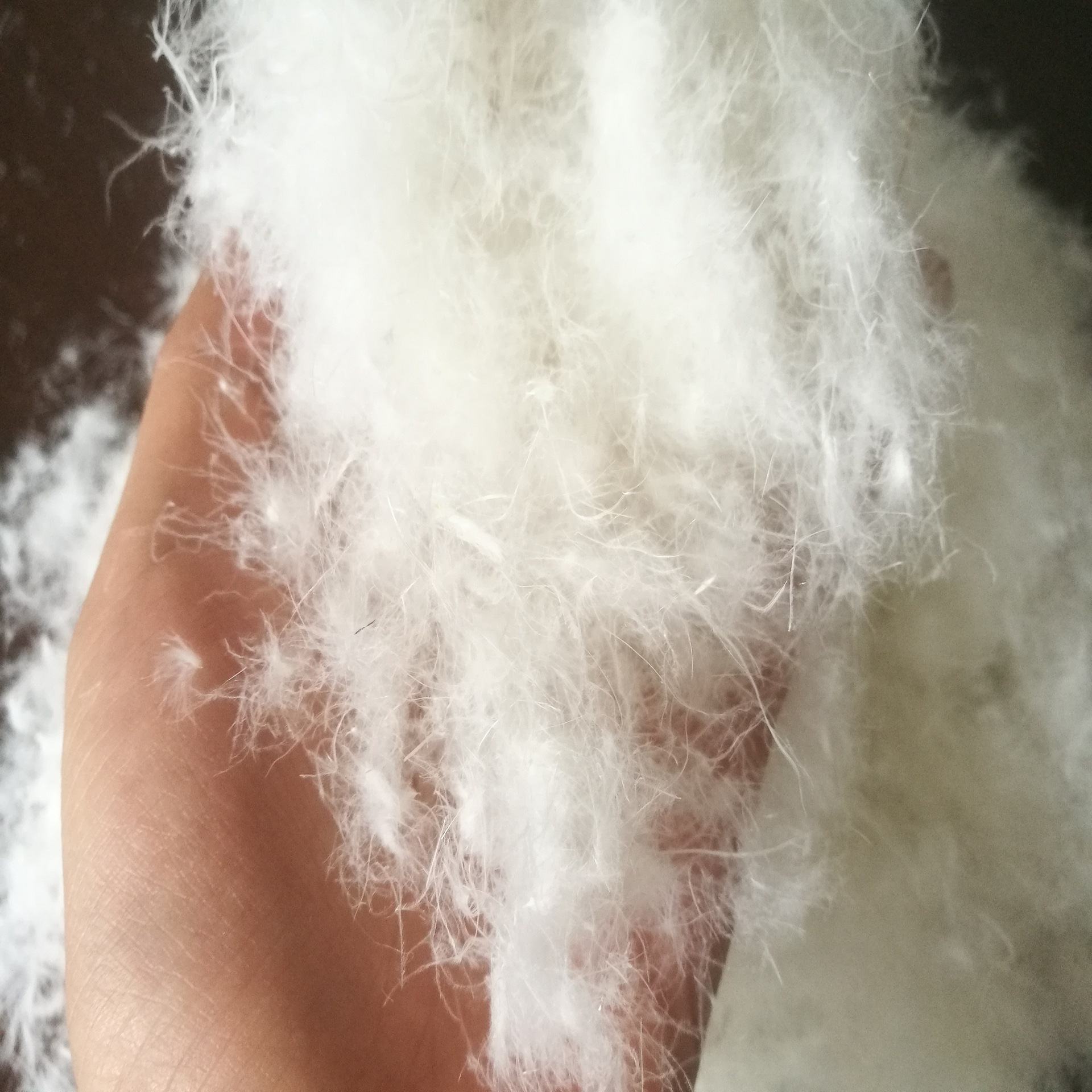 水洗50%鹅绒 蓬松无异味