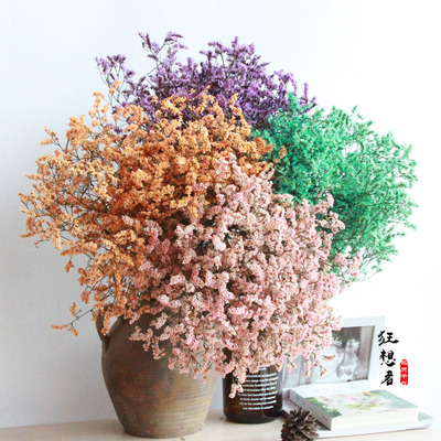 狂想者【彩色水晶草干花】森系真花6色家居装饰插花摄影七夕礼物