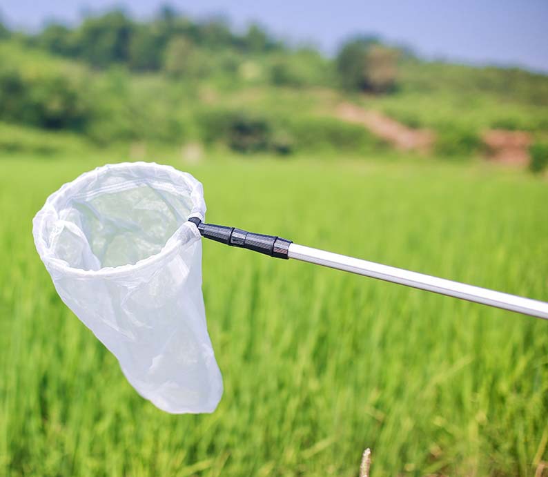 超密捞鱼虫网 捞水蚤红虫网兜铝合金伸缩捕虫网蝴蝶网捕苍蝇蚊子