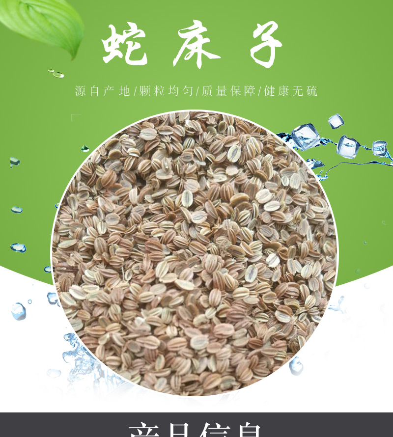 中药材蛇床子散装厂家直销籽类药材量大从优无杂干货蛇床子