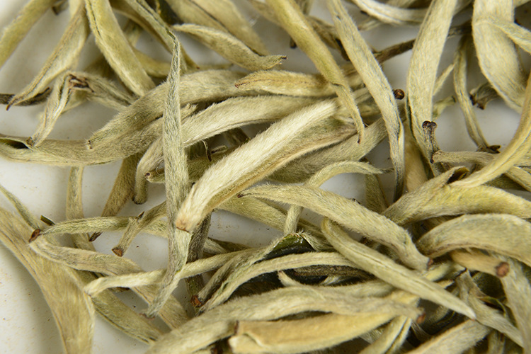 批发云南茶叶 单芽大白毫 景谷大白芽 月光白 生茶散茶 古树白茶