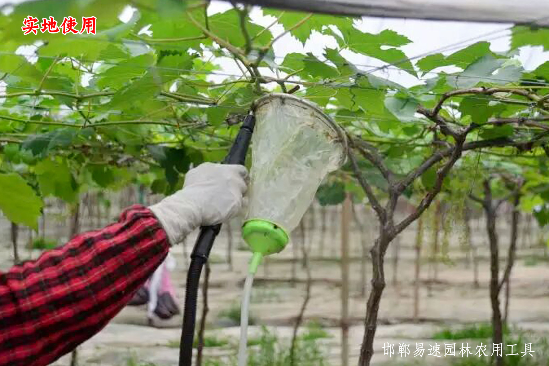 葡萄浸果器葡萄膨大器拉穗器葡萄沾花拉花器喷雾头葡萄膨果回流器