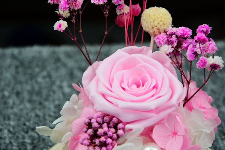 鲜花,花艺制品-永生花玫瑰玻璃罩礼盒 diy手工制作干花摆件 情人节