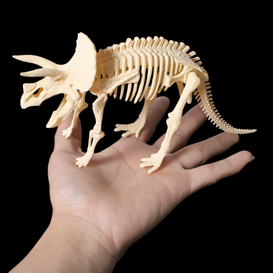 拼装恐龙骨架考古挖掘玩具仿真三角龙化石石膏模型主题公园礼品