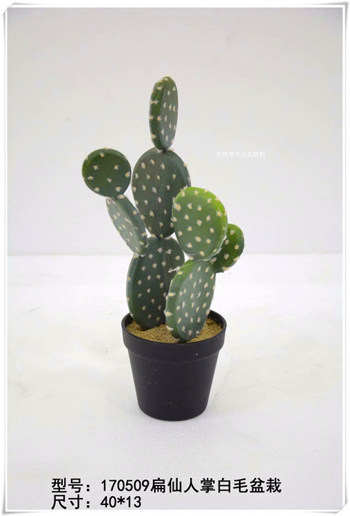 仿真扁仙人掌盆景 仿真兔儿仙人掌盆栽室内家居微景观装饰