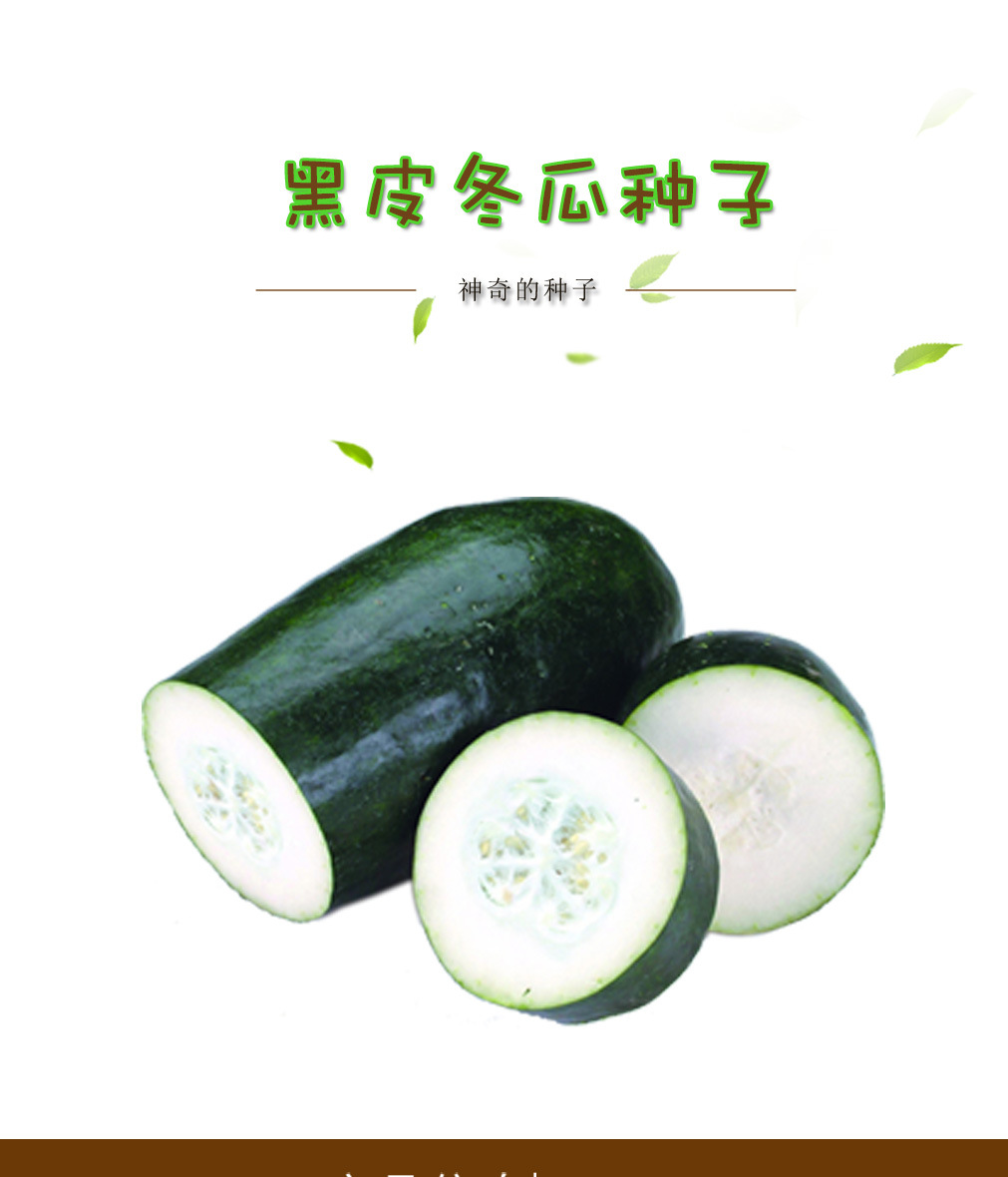 黑皮冬瓜种子 农田菜园早生黑皮肉厚嫩脆清香大冬瓜蔬菜籽