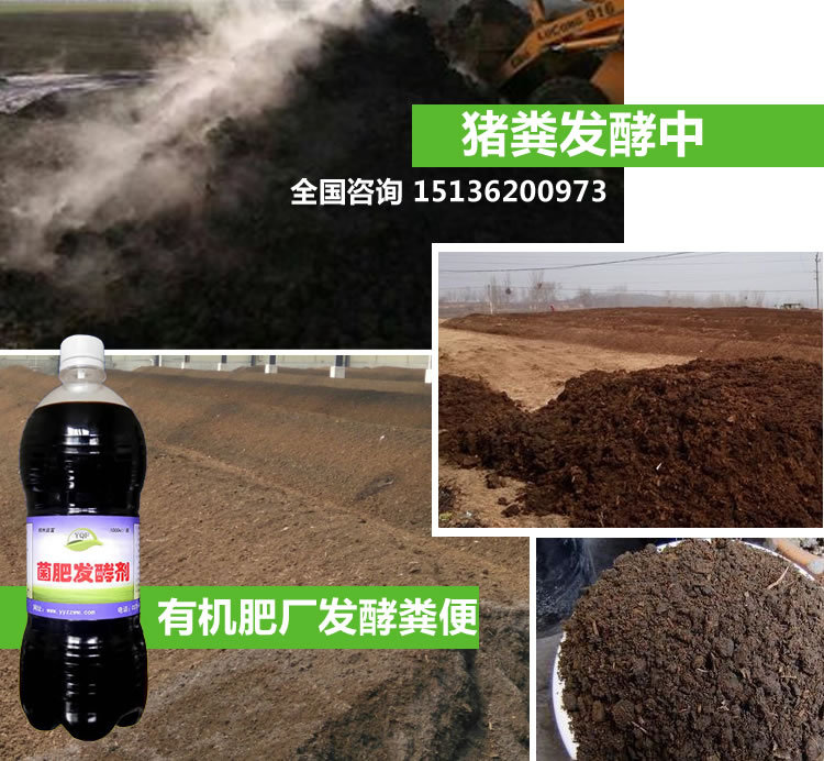 第3天猪粪堆肥的内部湿度会很高,可翻一下堆,整个过程3-4回翻就行了.