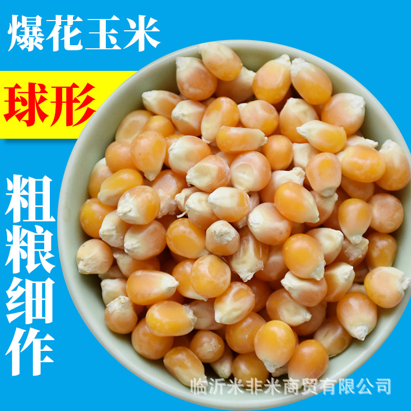 球形爆花玉米批发国产爆裂球玉米粒爆米花用玉米五谷杂粮20kg