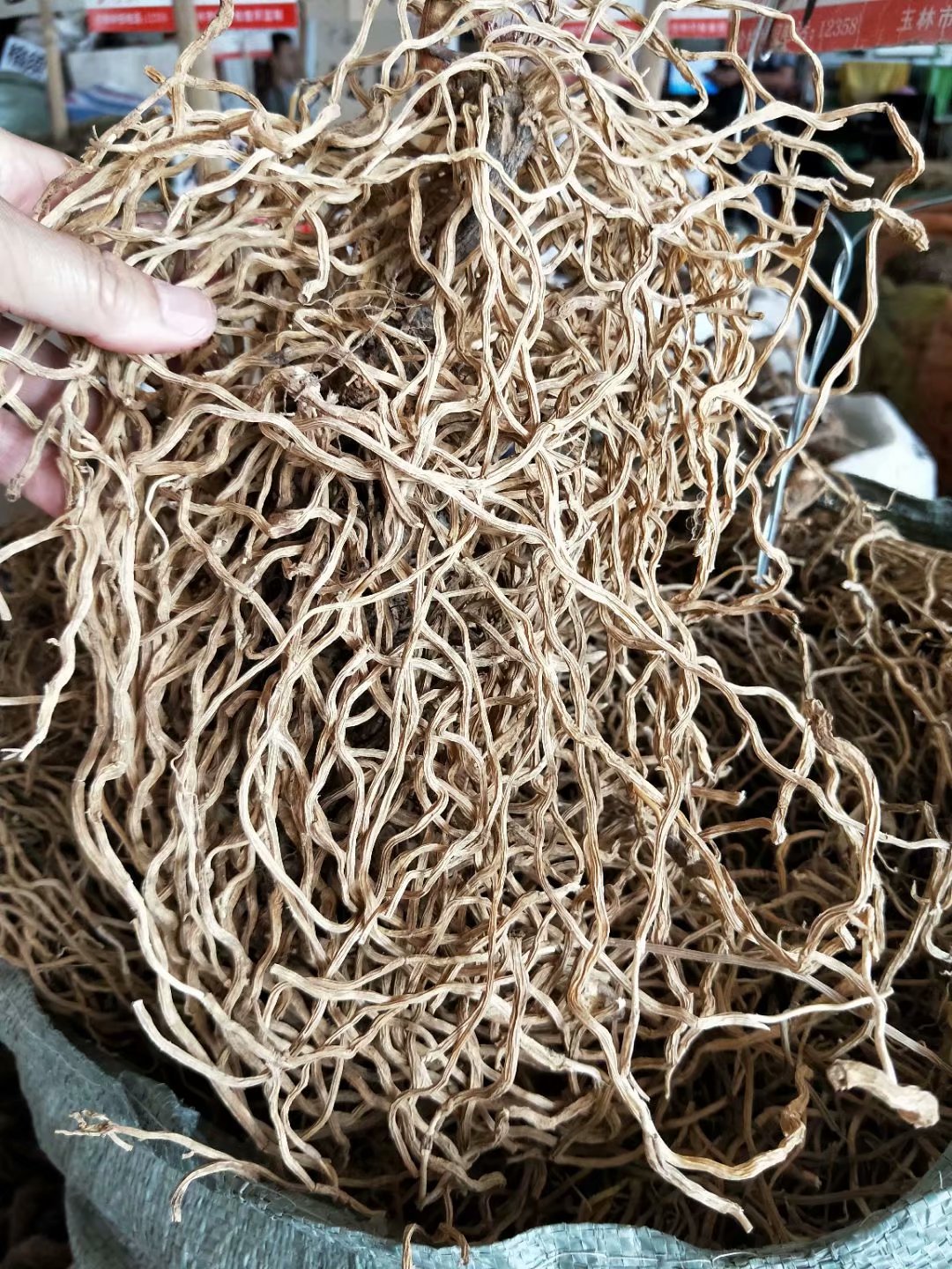 中药材牛尾菜牛尾结牛尾蕨大伸筋草