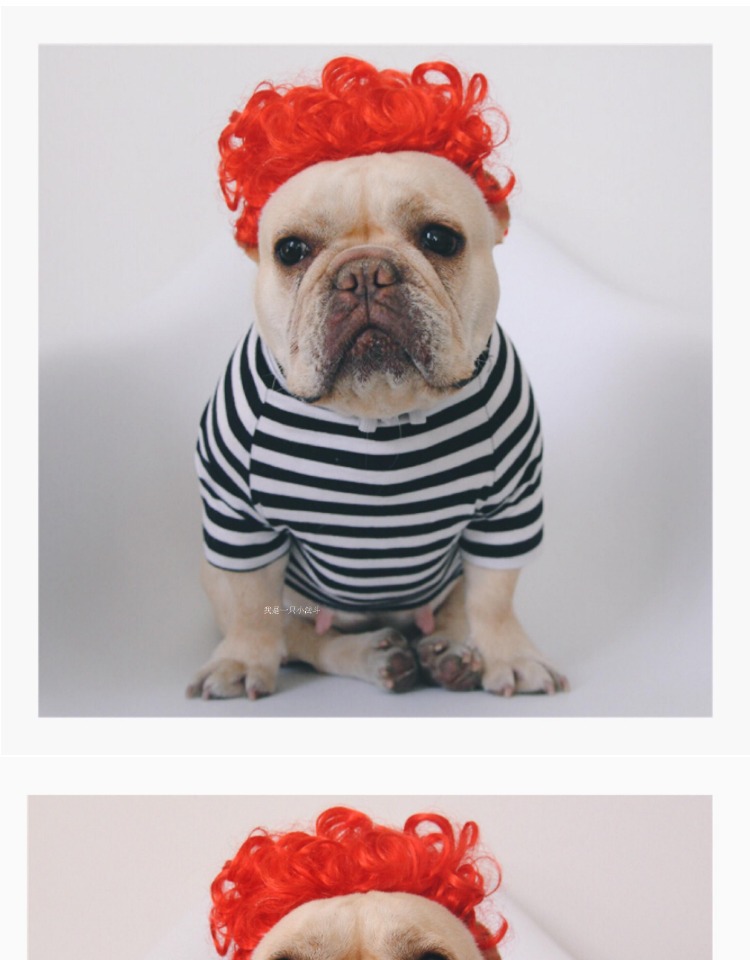 批发宠物搞笑假发款宠物用品我是一只小法斗宠物狗假发头套头饰