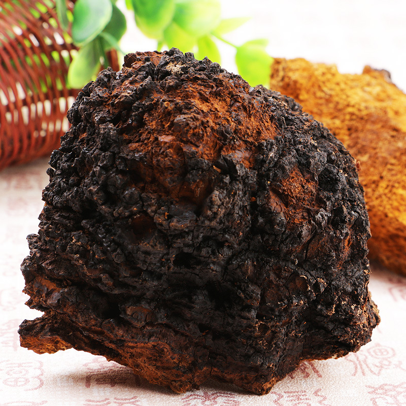 桦树茸提取物 桦树茸多糖 桦褐孔菌提取物 主打(中国 西安)