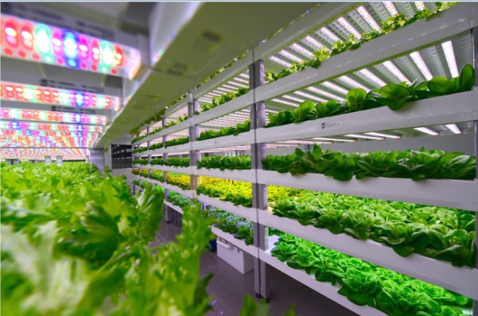 厂家直销 雾立方半封闭式植物工厂 高科技洁净化新型植物工厂