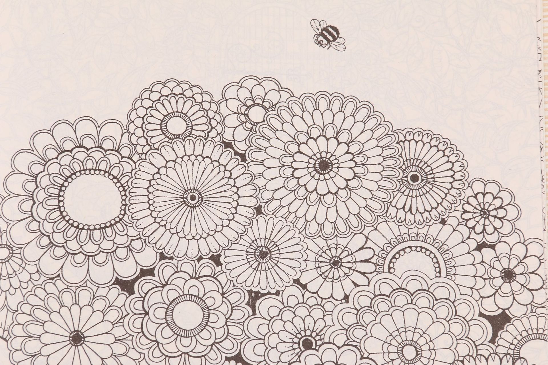 中文版秘密花园减压手绘填色涂色书成人学生涂色本小本绘画本书本