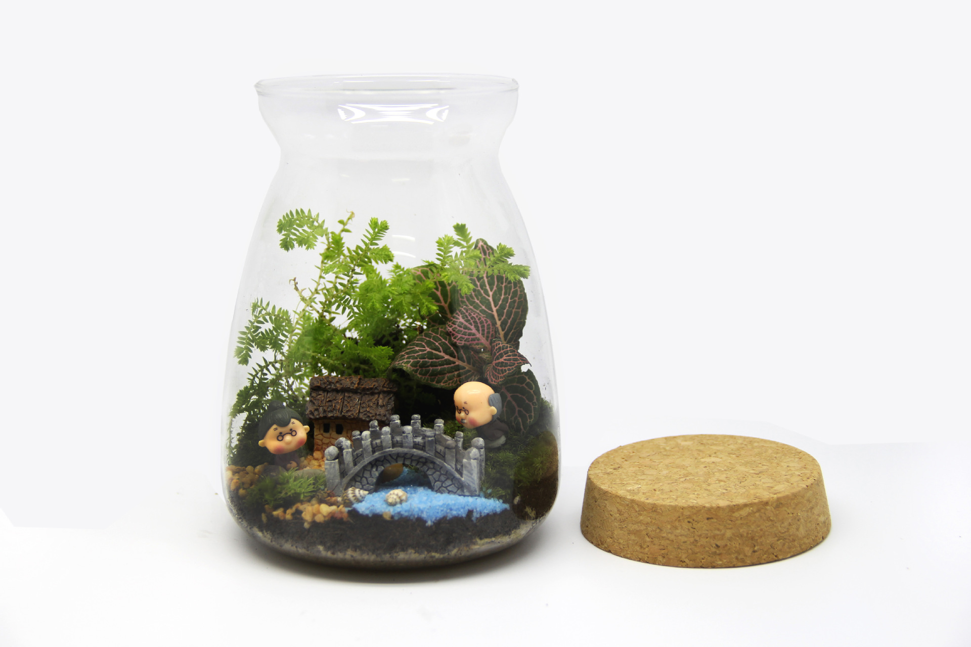 苔藓微景观生态瓶 大a瓶 情人生日礼品活植物 成品创意礼品