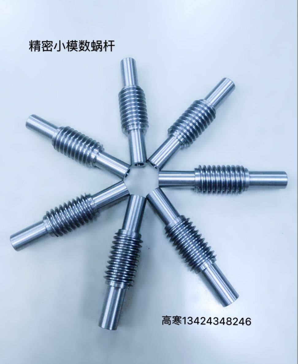 深圳厂家生产供应精密蜗杆304不锈钢材质1模精密蜗杆定制加工