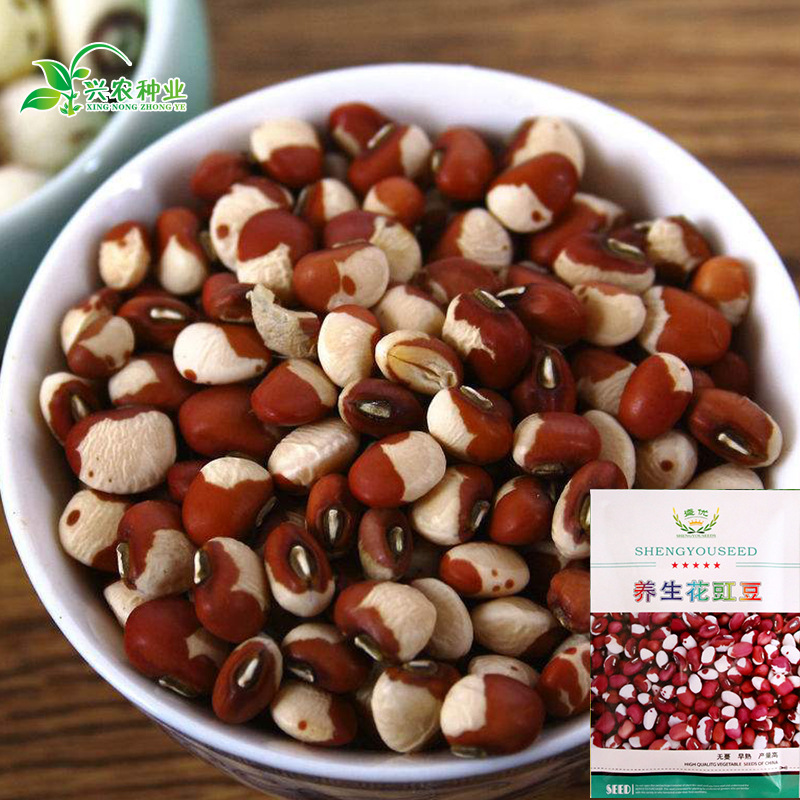 花豇豆种子批发 农田菜园早熟结荚密集荚长红白相间豆种子批发