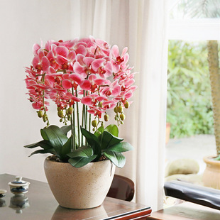 和家pu手感蝴蝶兰仿真花套装假花绢花盆栽整体花艺客厅光触媒绢花