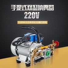 电动220V果树喷雾器农用高压喷雾器园林手提式打药机电机农药机