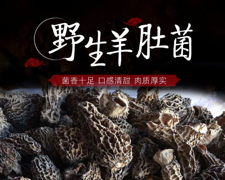 全剪柄尖顶野生羊肚菌3-5cm 云南特产野生春羊肚菌 产地大货批发