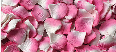 婚庆花瓣t台玫瑰花瓣结婚ktv撒花瓣手抛一包一斤5000片左右