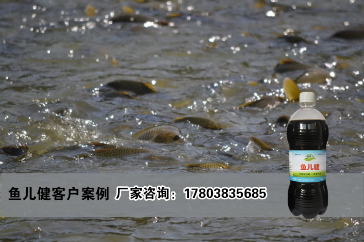 发酵鸡粪肥水