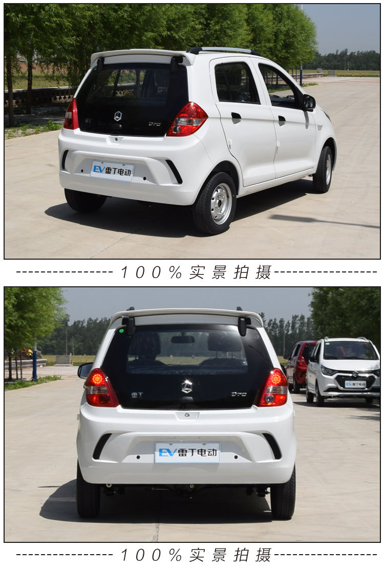 雷丁d70电动四轮车成人电动汽车轿车油电两用代步车新能源观光车