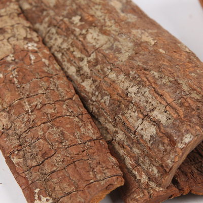 五觉坊 安哥拉卡宾达树皮 厚皮 泡酒料卡槟达树皮