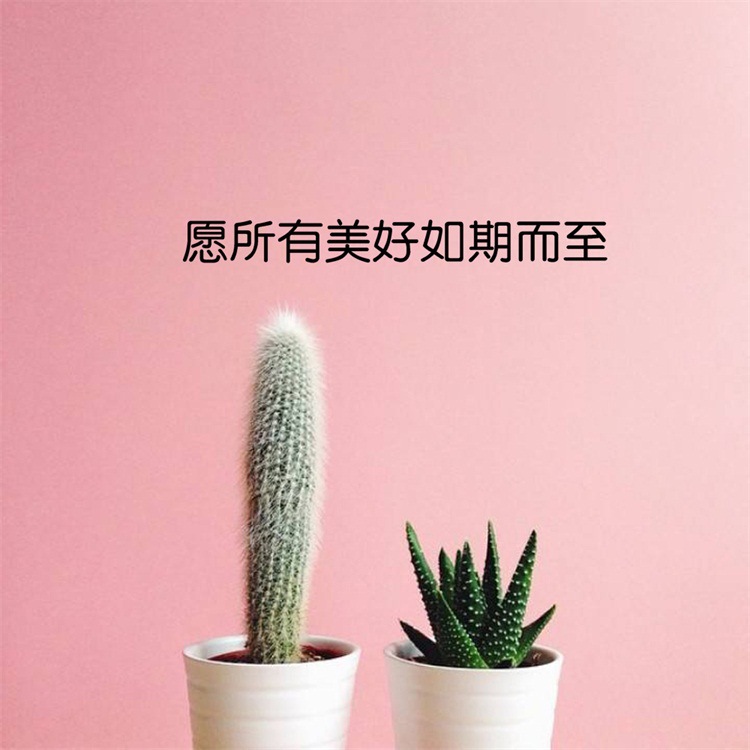 gb636愿所有美好如期而至ins贴纸中文网红墙贴暖心的句子