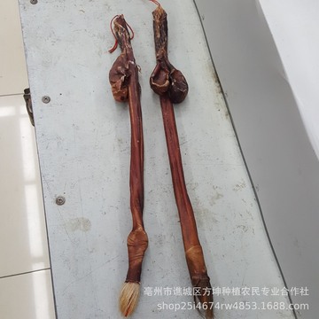 吉林双阳鹿鞭鹿场直供 东北特产鹿鞭泡酒料 礼盒整枝批发实图拍摄