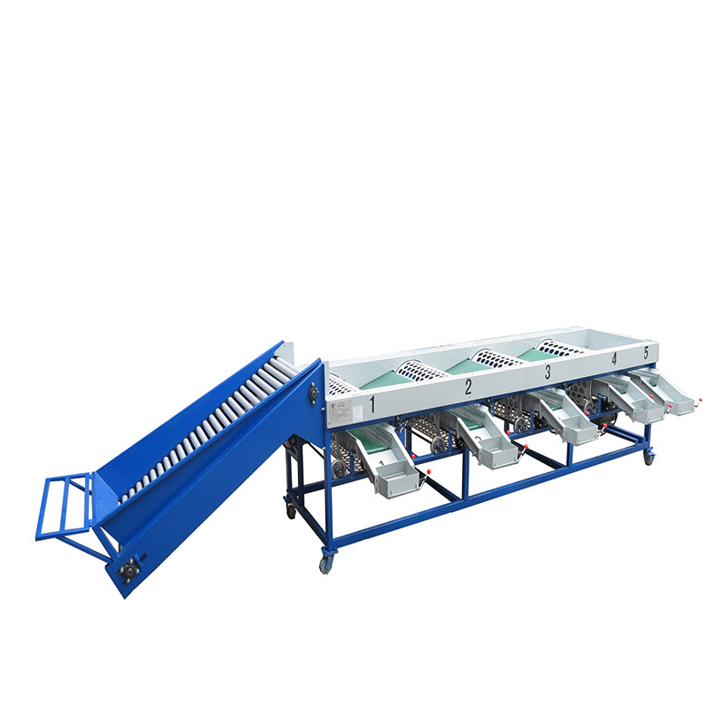 大蒜滚筒分选设备 独头蒜筛选分级机 洋葱大小分捡加工 厂家直销