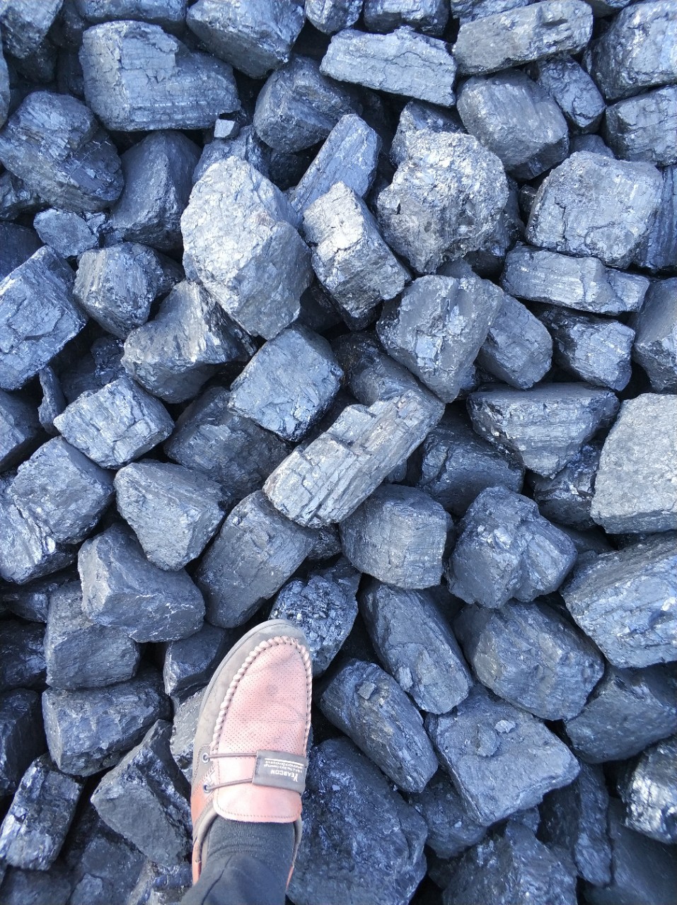 长期供应神木煤38块发热量低位6000工业锅炉民用化灰环保低硫