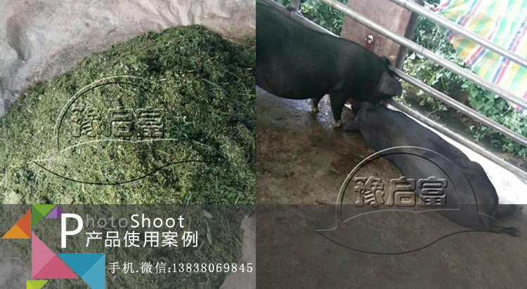 养猪饲料发酵剂客户案例