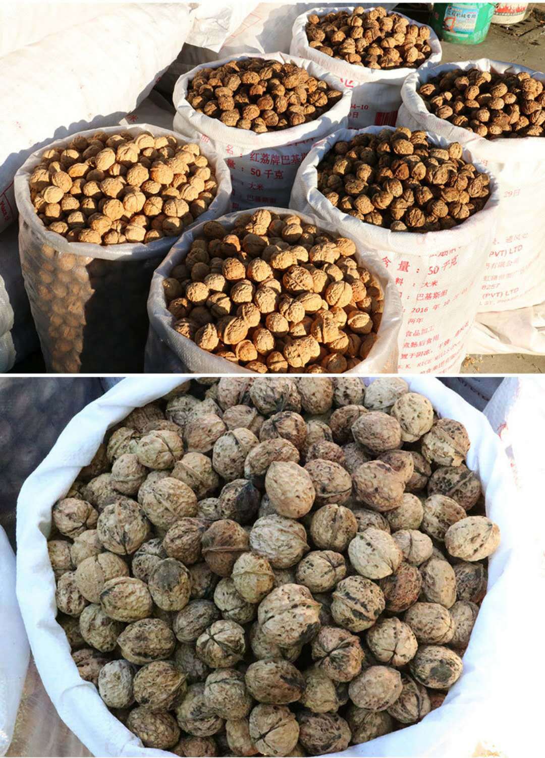 云南野生山核桃5斤包邮无漂白无添加孕妇小孩儿专供