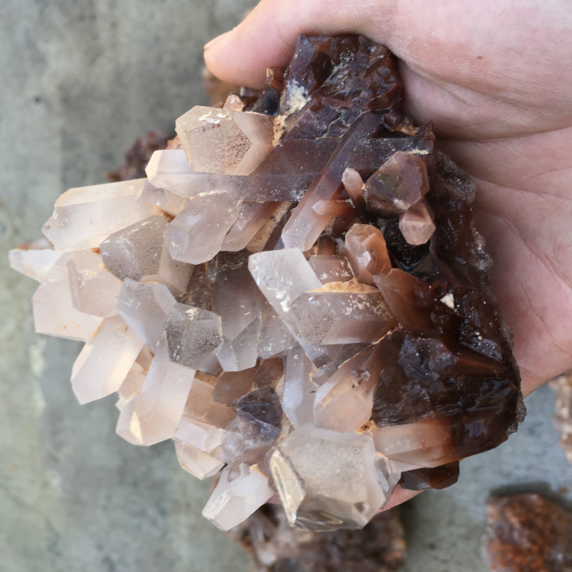 天然红水晶晶簇摆件 原石矿标 家居摆件办公装饰 产地直销