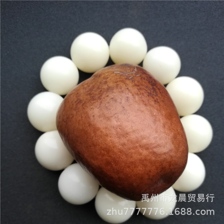 佛心果手串 释迦菩提手串 菩提手串  手串 新流行