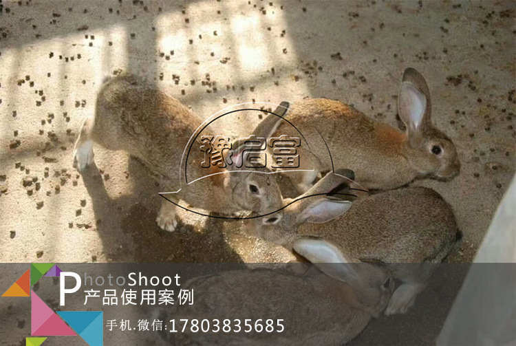 養(yǎng)兔動(dòng)物飲水保健液