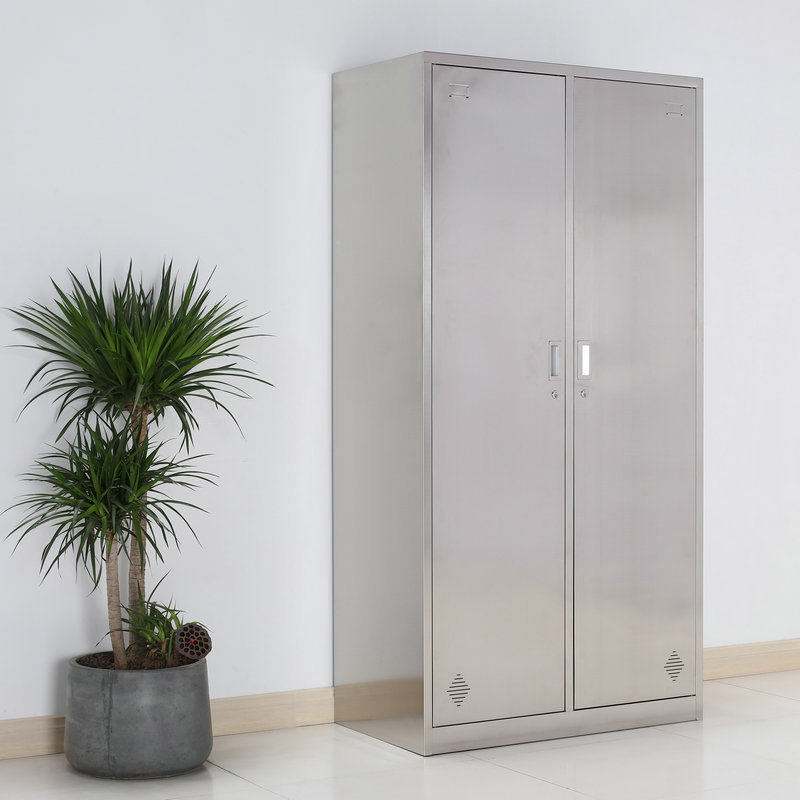 304不锈钢更衣柜 大型双开门储物柜多种型号衣柜成套定做