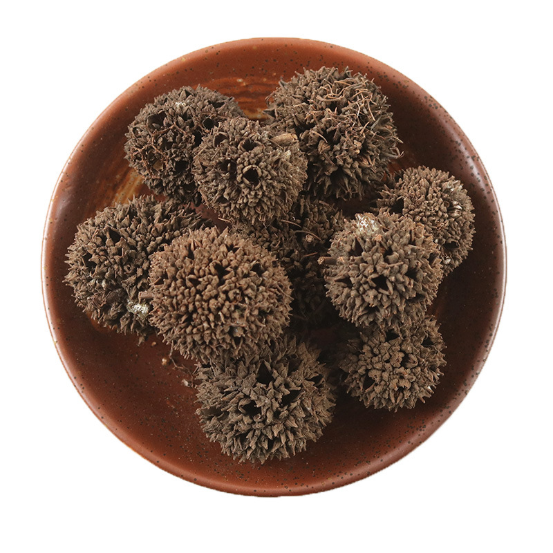 六六通路路通枫球子枫树球枫实500g