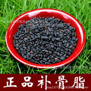 中药材 补骨脂 胡韭子 破故纸 黑故子教你做盐炒补骨脂
