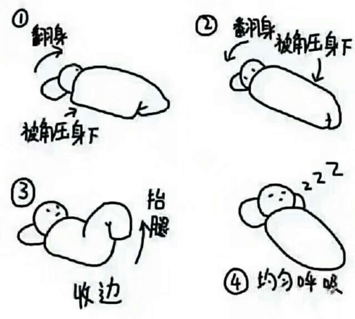 冬天单身狗的正确睡觉方式