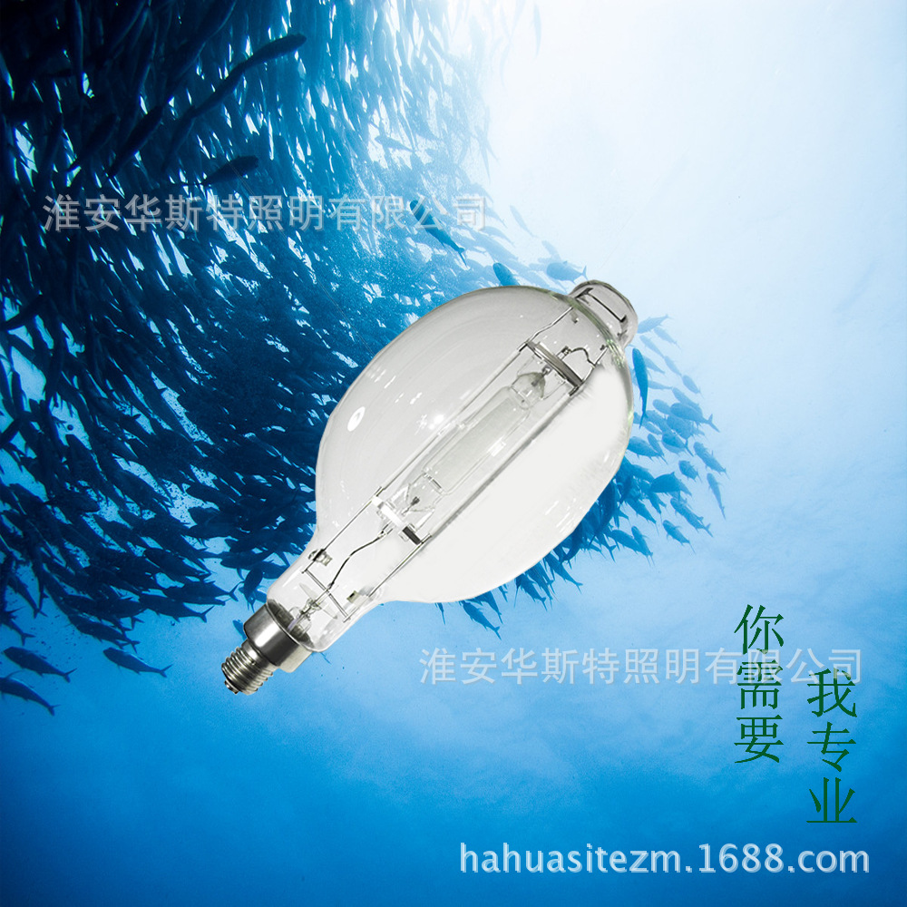 金卤灯防爆集鱼灯捕鱼灯诱鱼灯bt230-2000w-220v-e40集鱼灯
