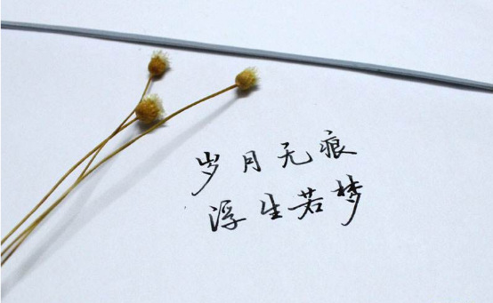 岁月会赠你黯然,必会予你明媚