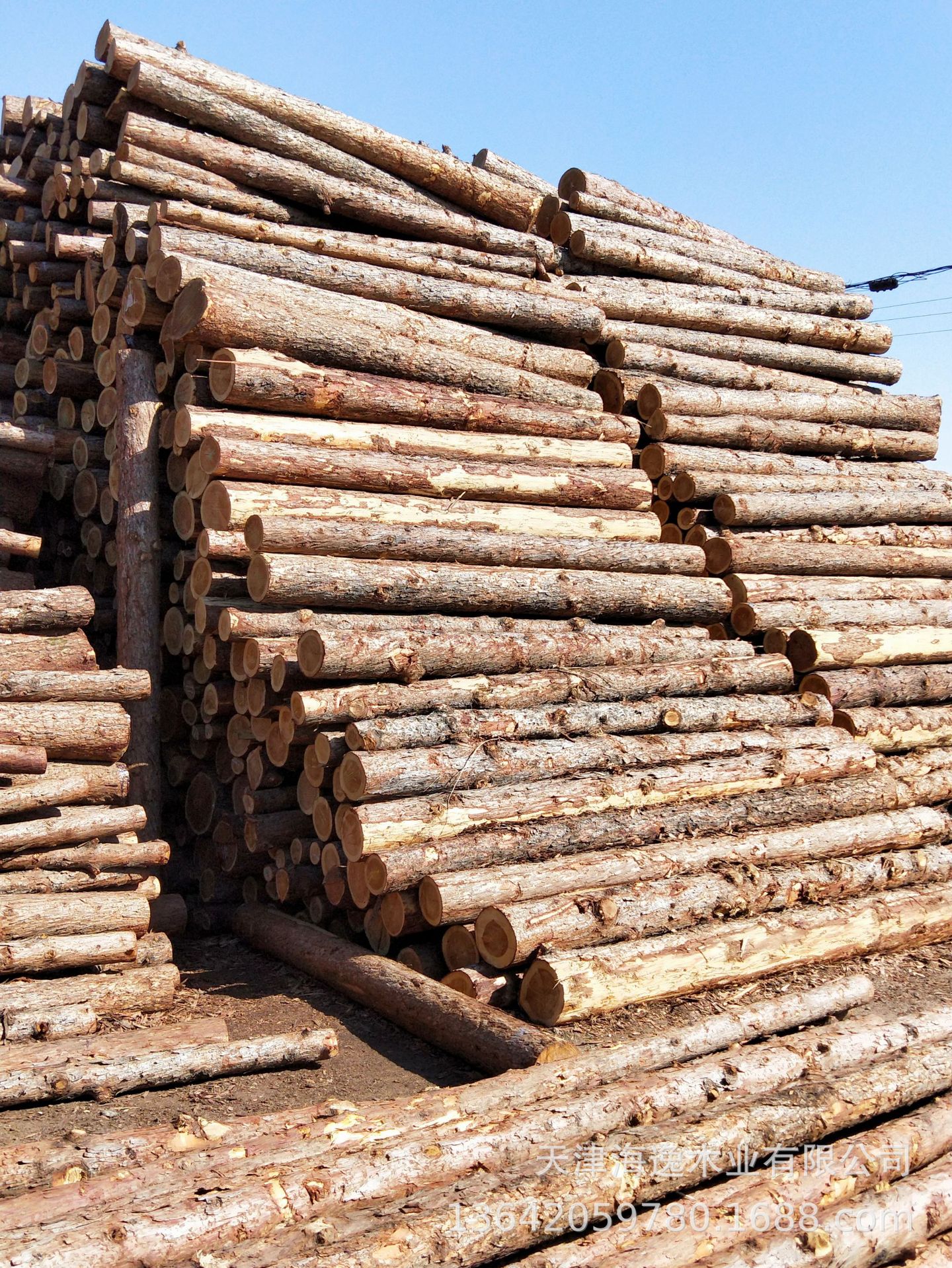 天津木桩加工订购,可削尖,可刷油,黄花松材质价格优惠尺寸充足