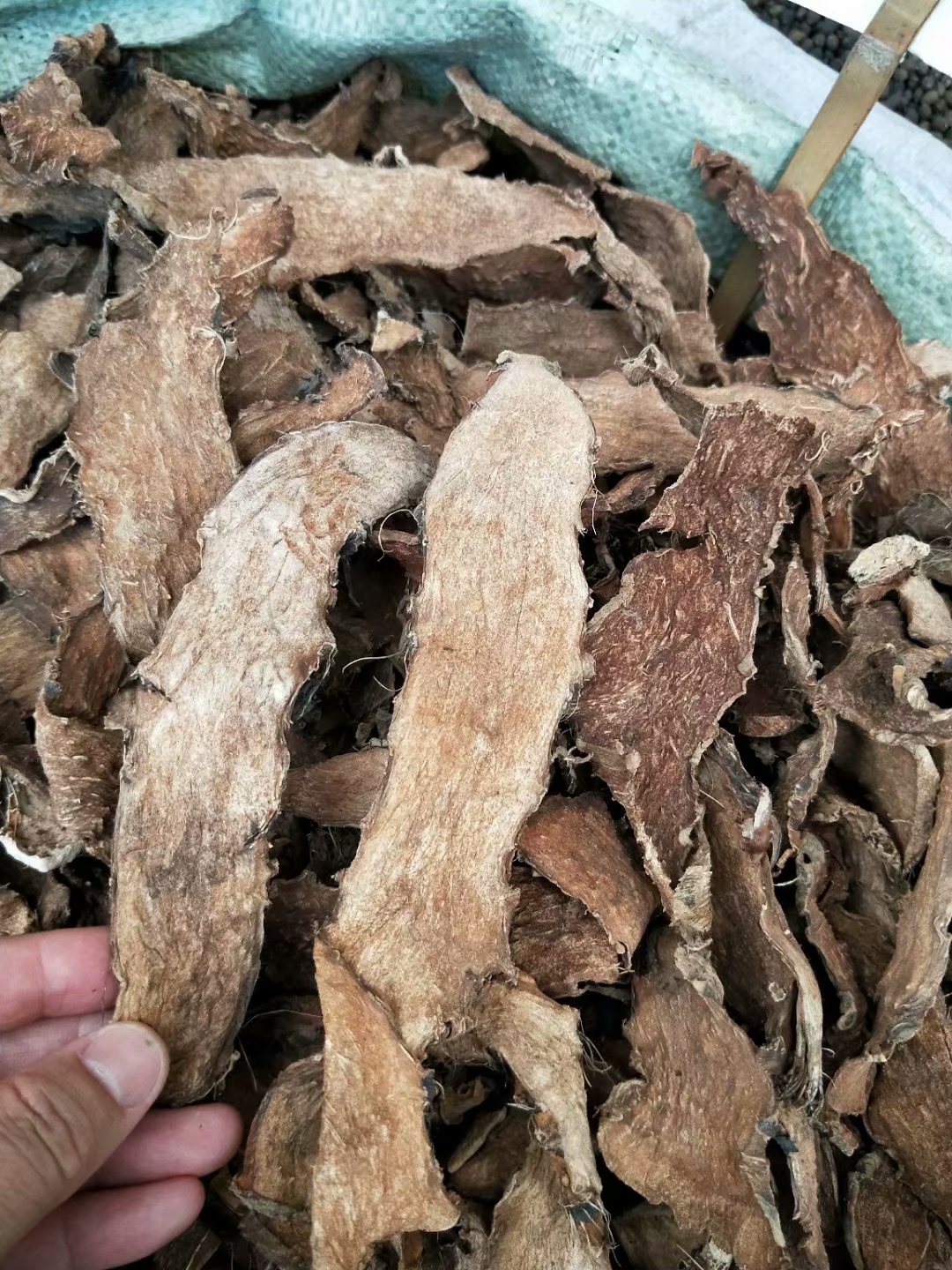 中药材勒藕勒茨菇天河芋水刺芋每件500克