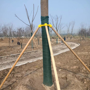 厂家批发新型园林树木支撑架防风支架苗木支撑固定器保护架