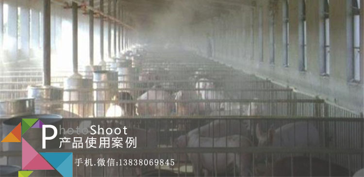 养猪除臭剂客户使用案例