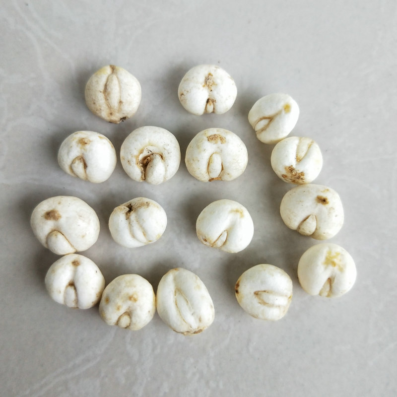 大货供应中药材浙贝母 浙贝片 小平贝松贝规格齐全散装批发