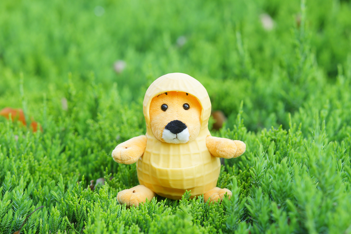 厂家直销花生鼠 日本人气网红花生鼠毛绒公仔批发