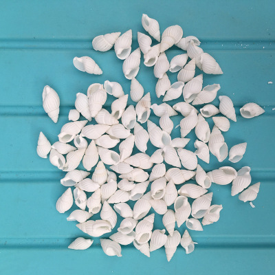 [天然白色迷你小米螺 1.5厘米] 超小海螺贝壳鱼缸底砂漂流许愿瓶