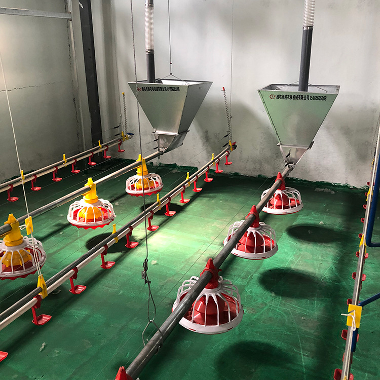 养鸡料线 - 阿里巴巴商友圈